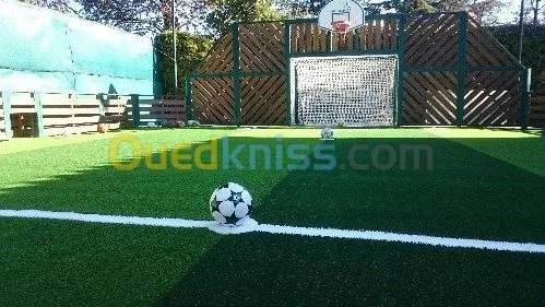 Fourniture & Pose de Gazon Synthétique