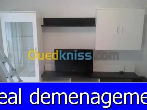 TRANSPORT DÉMÉNAGEMENT MANUTENTION—