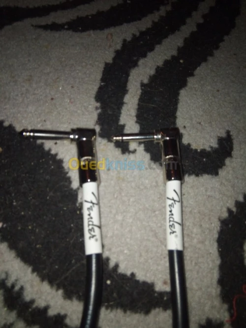 Whammy 5 et fiche jack fender 