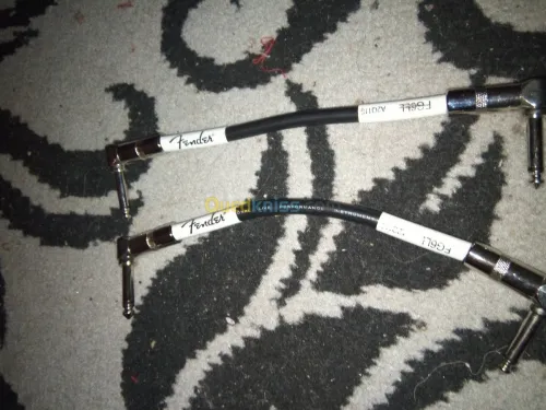 Whammy 5 et fiche jack fender 