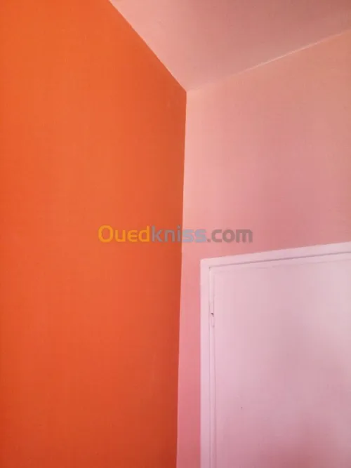 Peintre Peinture & rénovation