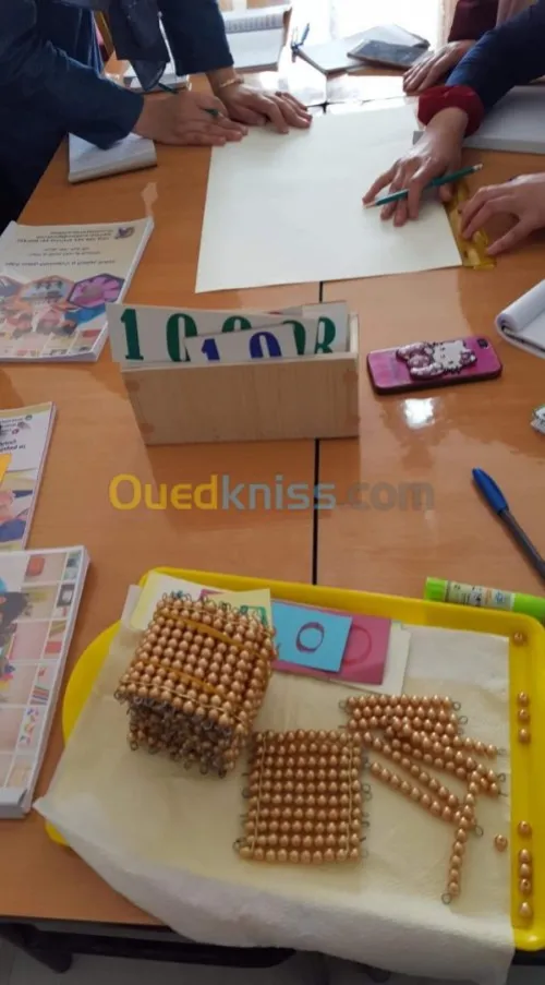 formation a psychopedagogie montéssori