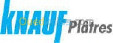 vente et pose placo palatre