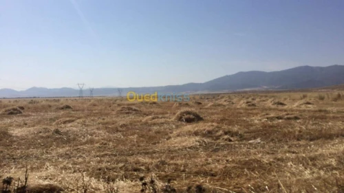 Vente Terrain Agricole Batna Seriana