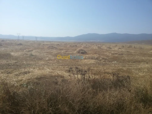 Vente Terrain Agricole Batna Seriana