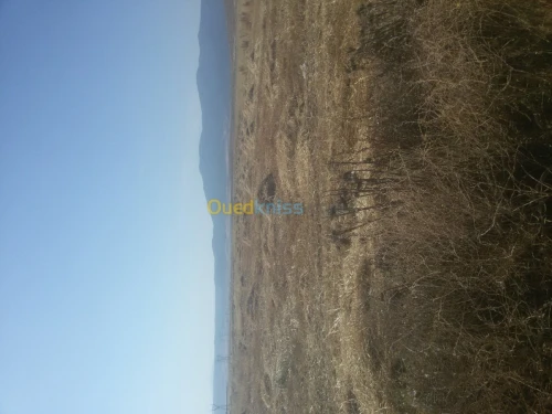 Vente Terrain Agricole Batna Seriana