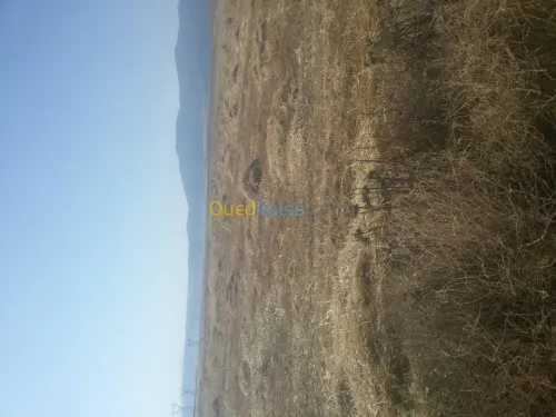 Vente Terrain Agricole Batna Seriana