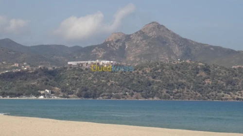 Vente Terrain Skikda Collo