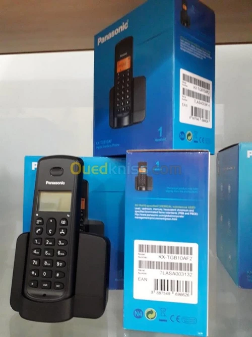 Panasonic Sans Fil KX-TGB10AF