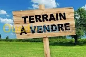 Vente Terrain Skikda Skikda