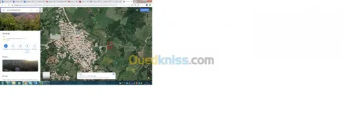 Vente Terrain Boumerdes Ammal