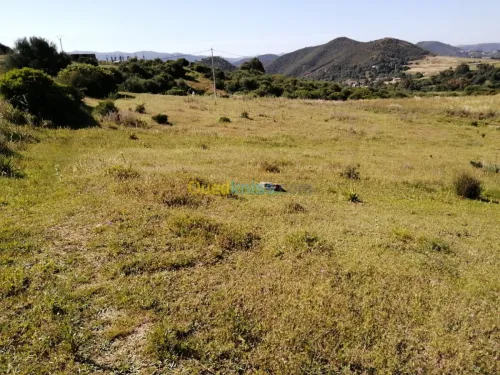 Vente Terrain Boumerdes Ammal