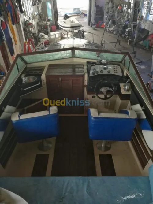Chris Craft Scorpion 260