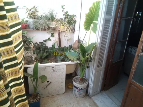 Vente Appartement F3 Ain defla Boumedfaa