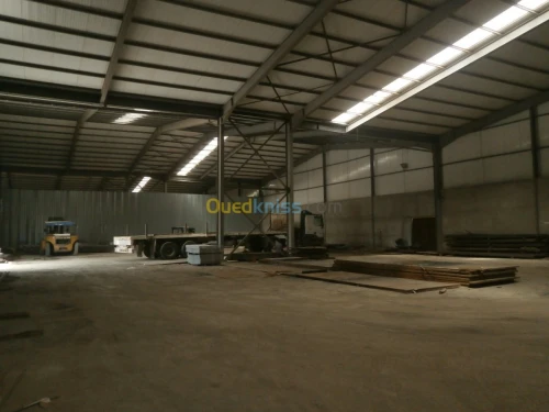 Location Hangar Tipaza Kolea
