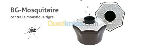 anti moustique tigre 