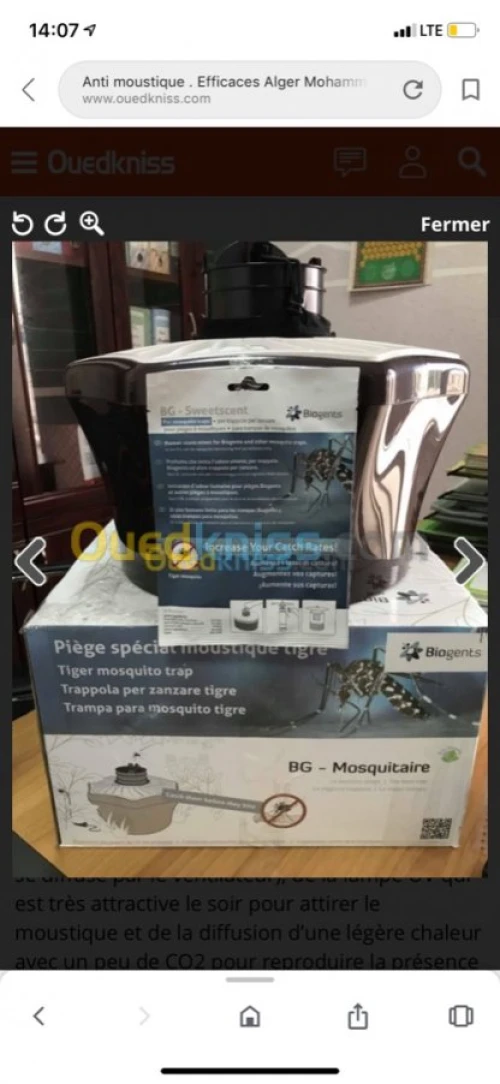 anti moustique tigre 