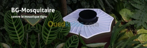 anti moustique tigre 