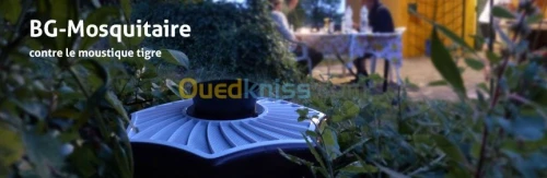 anti moustique tigre 