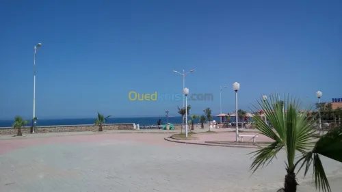 Location de chambres 