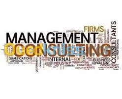 Consultant Professional 7/24h