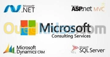 Consultant Professional 7/24h