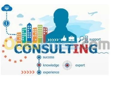 Consultant Professional 7/24h