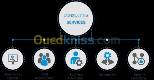 Consultant Professional 7/24h