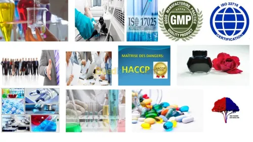 Formation professionnelle