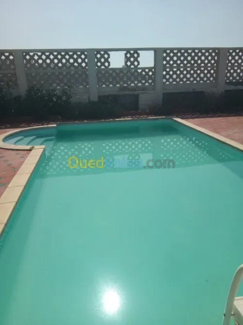 nettoyage & reparation piscines