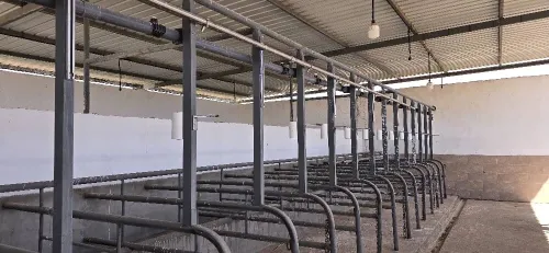 Salle de traite 12 poste 