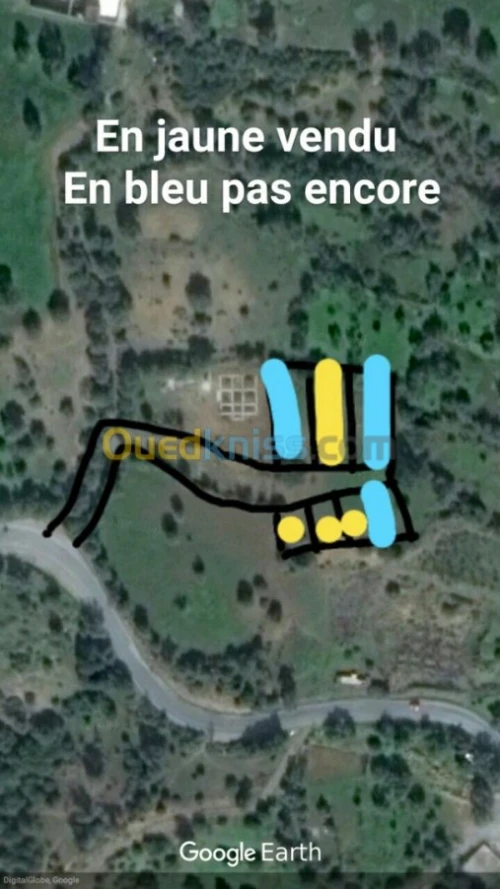 Vente Terrain Béjaïa Sidi aich