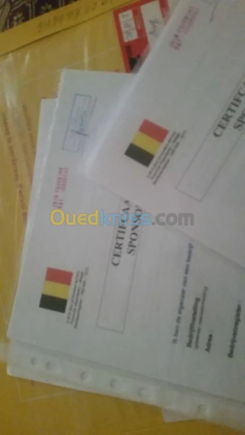 الدراسة في روسيا