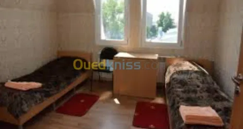 الدراسة في روسيا