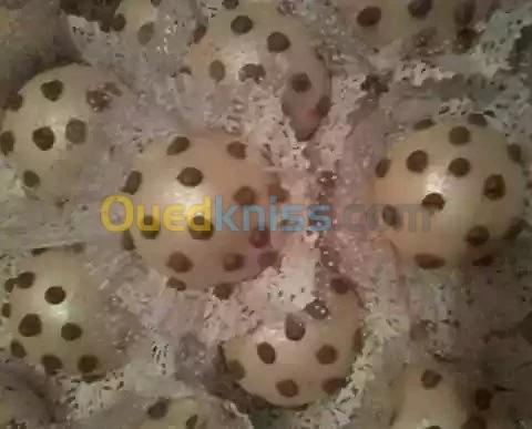 حلويات و عجائن & gateaux et pates