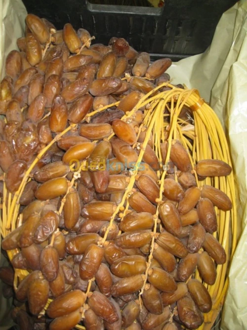 LEXPORTATION DES DATTES 