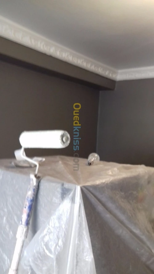 Peinture et decoration placo BA13