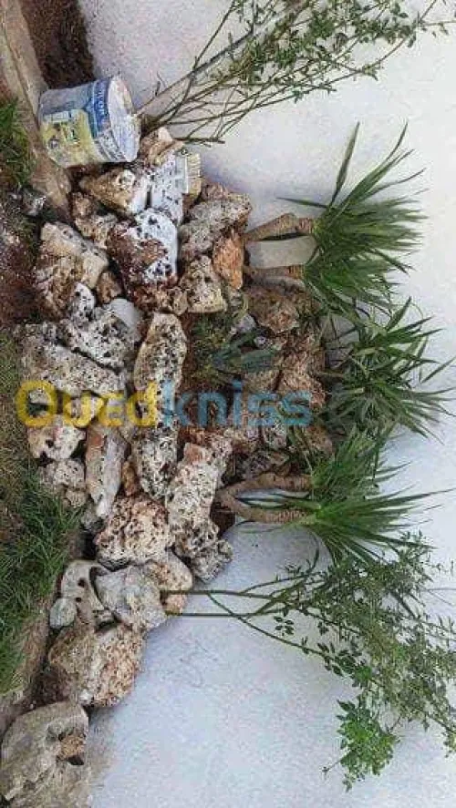 Construction et amenagement exterieure