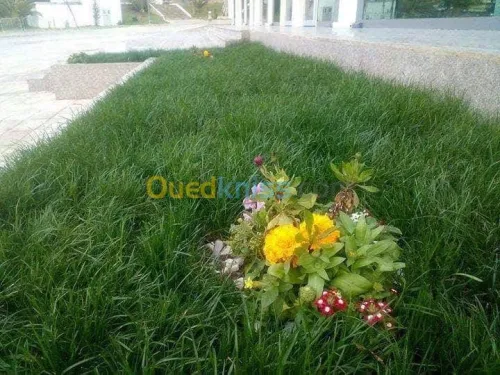 Construction et amenagement exterieure