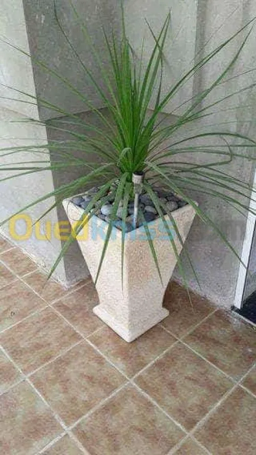 Construction et amenagement exterieure