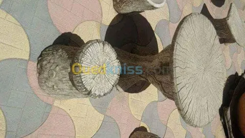 Amenagement et decoration jardins