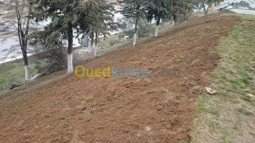 Amenagement et decoration jardins