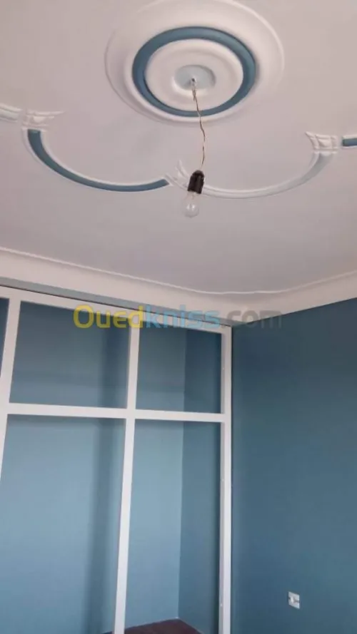 Catégorie : Construction &decoration 