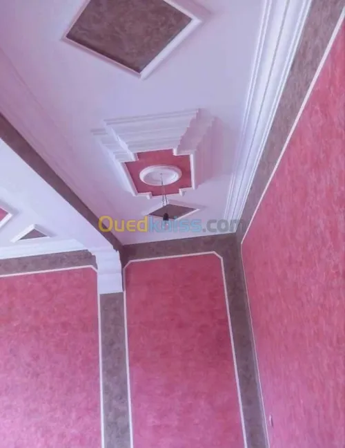 Catégorie : Construction &decoration 