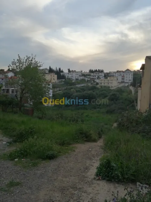 Vente Terrain Alger Ain naadja