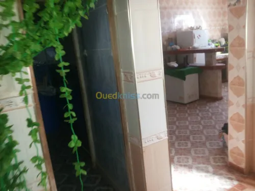 Vente Immeuble Naama Mecheria