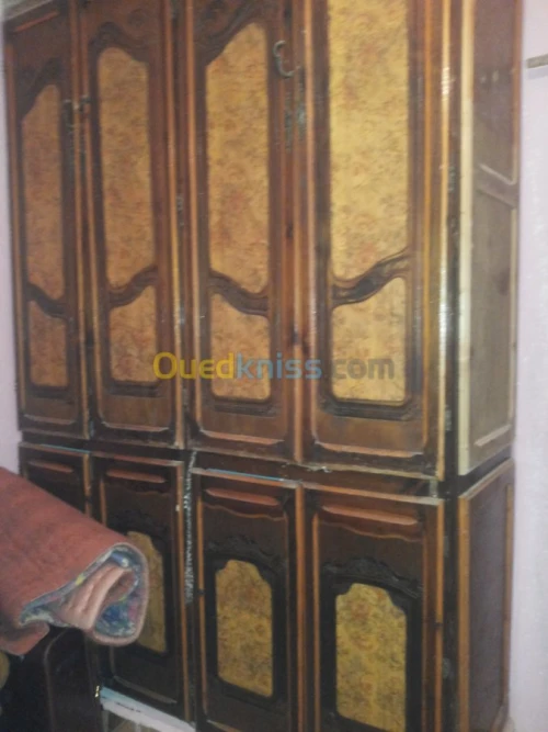 Vente Immeuble Naama Mecheria