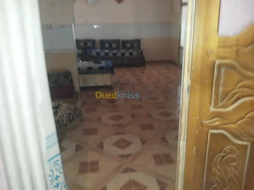 Vente Immeuble Naama Mecheria