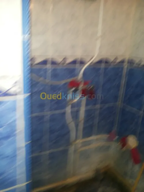 Vente Immeuble Naama Mecheria