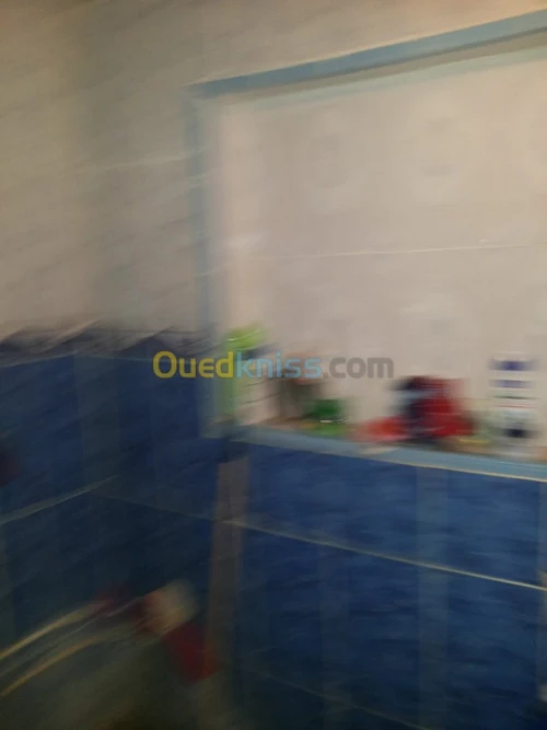 Vente Immeuble Naama Mecheria